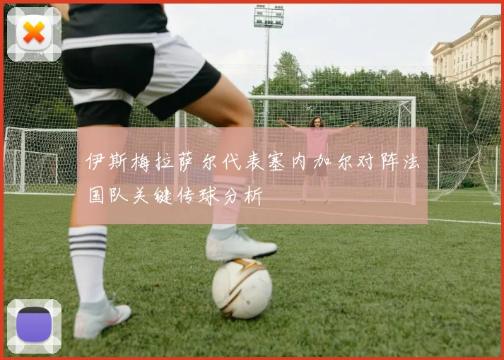 伊斯梅拉萨尔代表塞内加尔对阵法国队关键传球分析