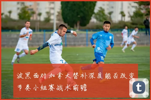 波黑面对加拿大替补深度能否改变节奏小组赛战术前瞻