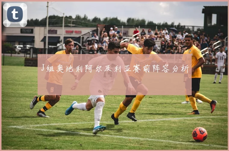 J组奥地利阿尔及利亚赛前阵容分析