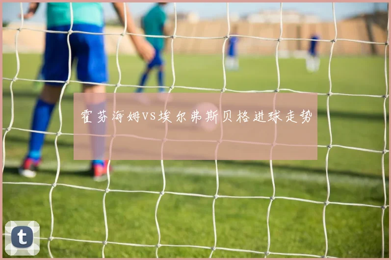 霍芬海姆vs埃尔弗斯贝格进球走势