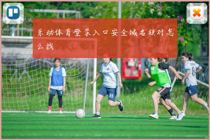 乐动体育登录入口安全域名核对怎么找
