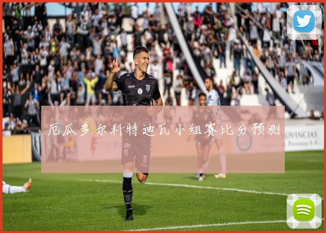 厄瓜多尔科特迪瓦小组赛比分预测