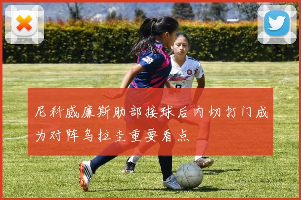 尼科威廉斯肋部接球后内切打门成为对阵乌拉圭重要看点
